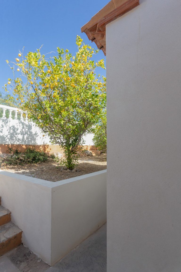 Terrace with plants at Villa Vino in Pedreguer