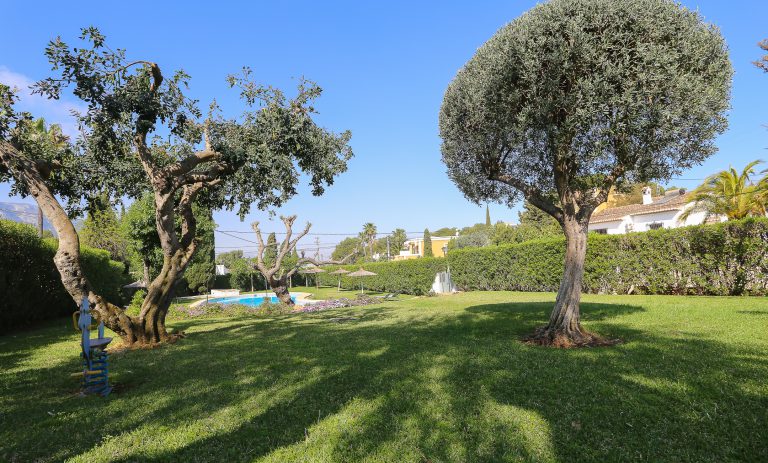 Olive tree garden at apartment Montesol residential complex in Dénia