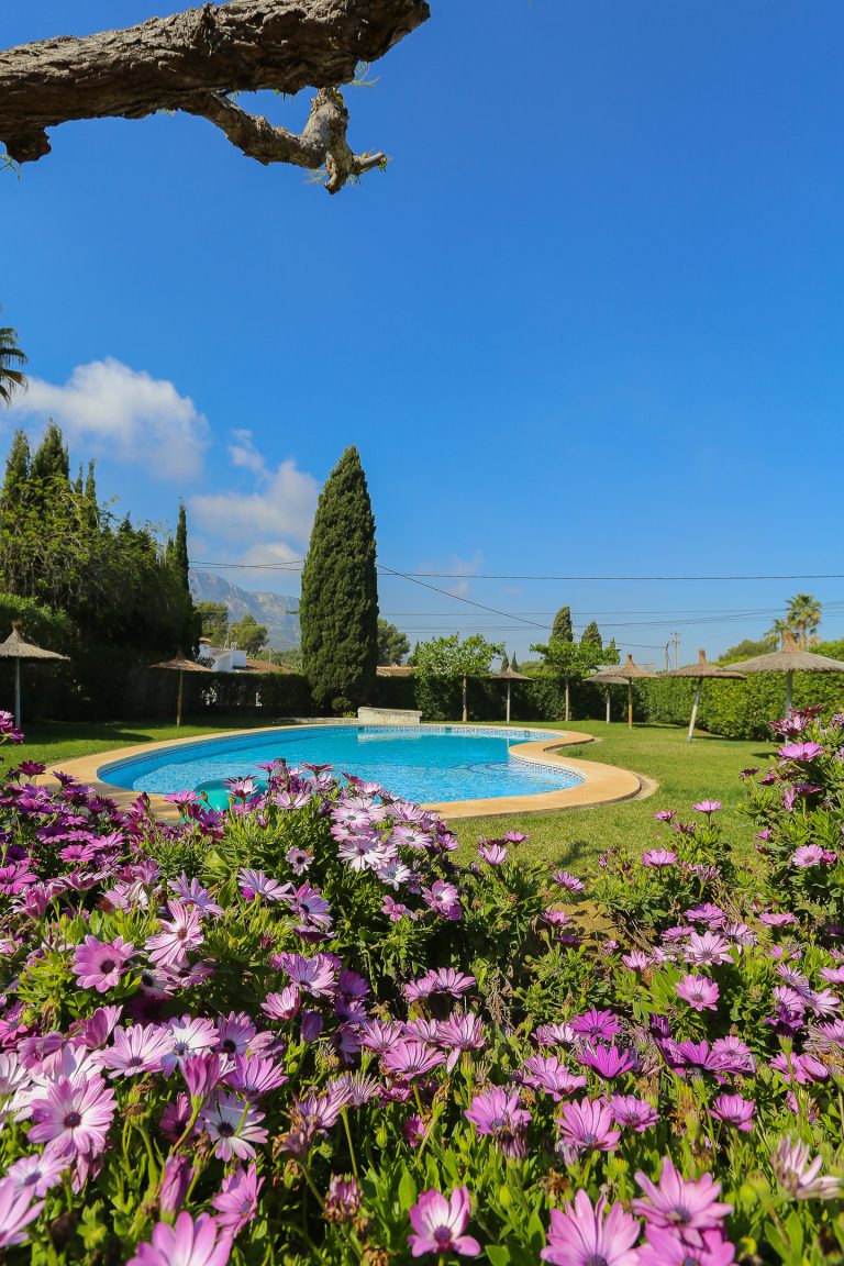 Flower garden at apartment Montesol residential complex in Dénia