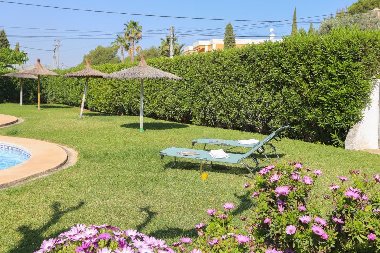 Garden with flowers near apartment Montesol in Dénia