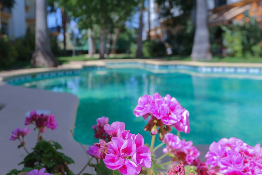 Photo of the apartment