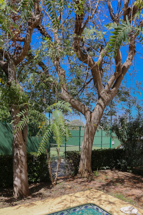 Photo of the apartment