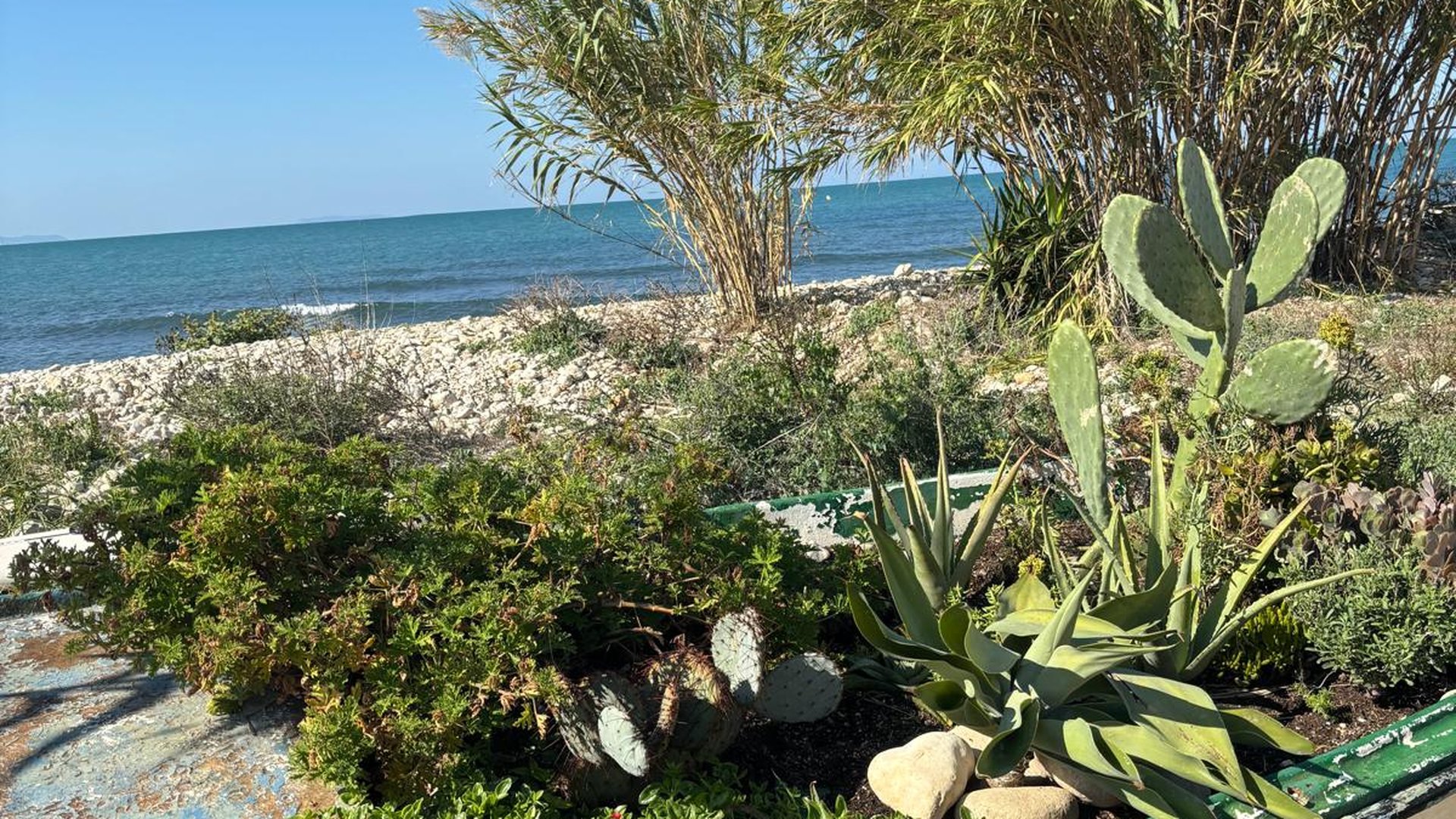 Mediterranean coastal garden in Els Poblets on the Costa Blanca