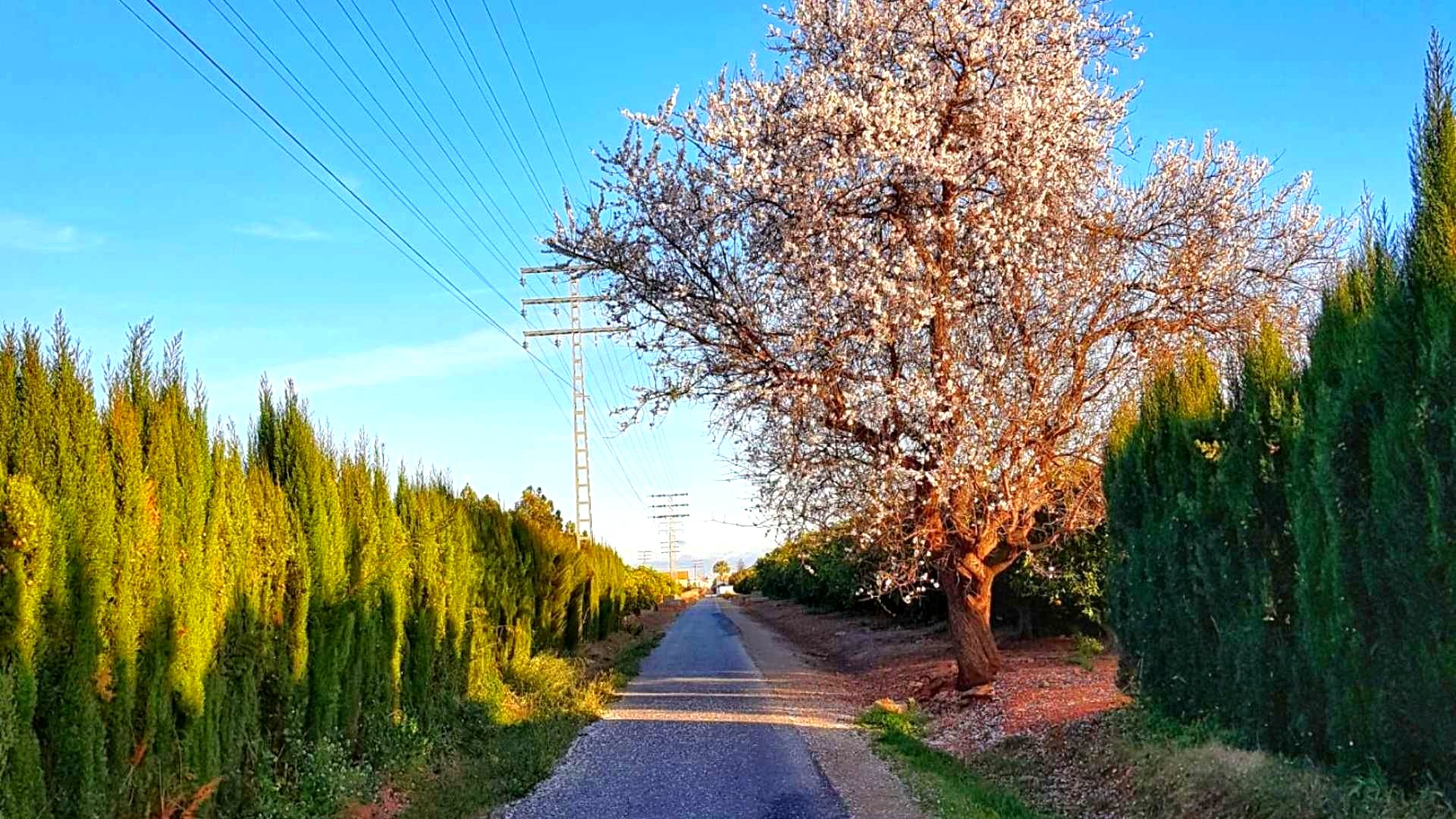 Via verde in Els Poblets on the Costa Blanca